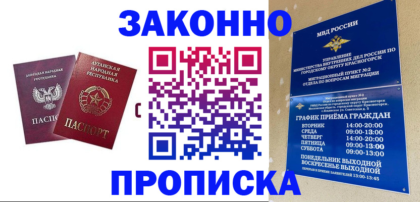 прописка в Шумихе